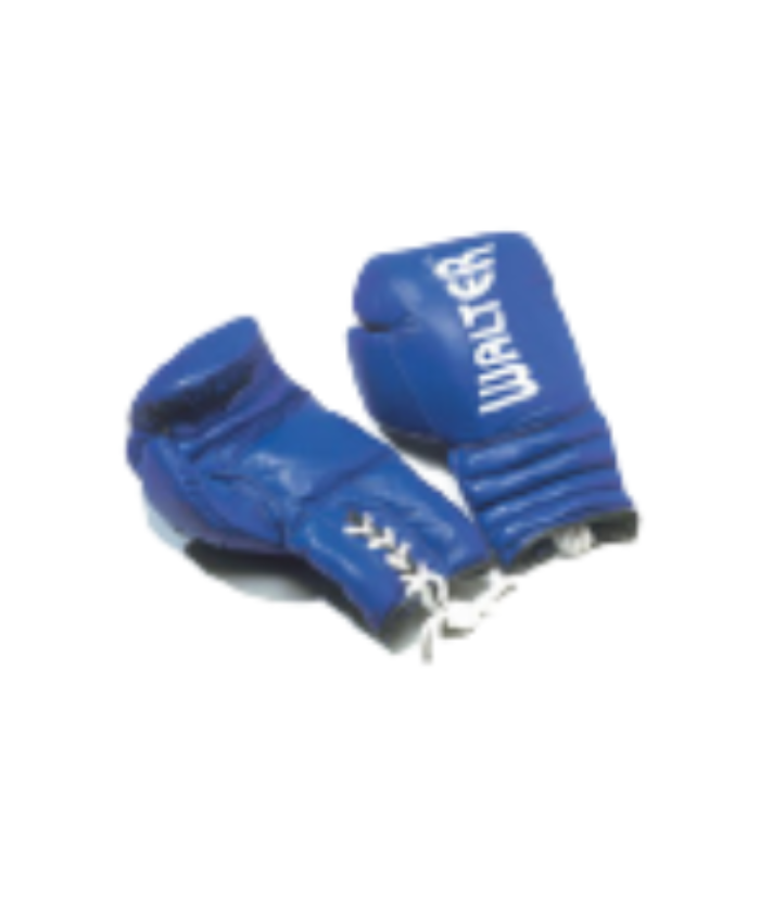 GANTS COMPETITION BOXE FRANCAISE WALTER