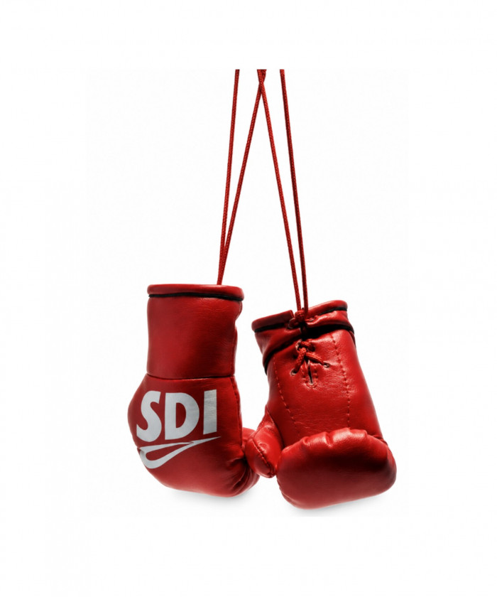 MINI PAIRE DE GANTS SDI